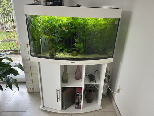 Aquarium 180 - , l