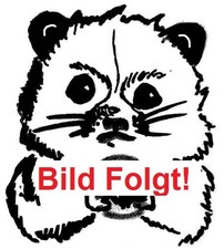 Gandalf der weiss und pippin - und,