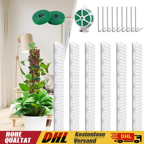 6stk moosstab für monstera - 6stk,