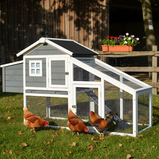 Hühnerstall Hühnervoliere