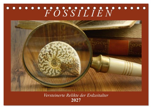 Fossilien versteinerte - -,