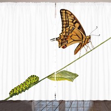 Schwalbenschwanz Schmetterling