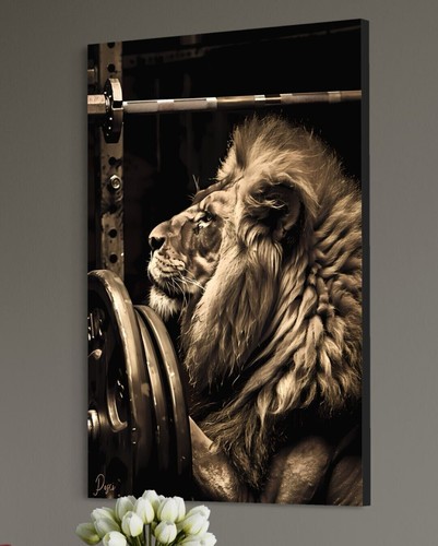Löwe leinwandbild gym - leinwandbild,