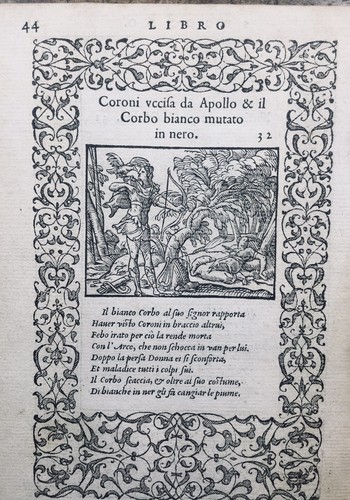 Eule 1559 rabe radierungen - eule, um