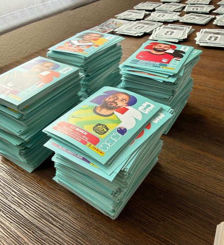 Panini fifa world cup - fifa,