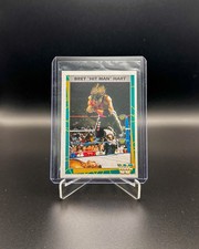 1995 merlin wwf - 1995, hitman