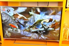 Fernseher Panasonic TX-42ASN658 3D-TV nur Abholung