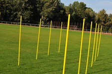 Slalomstangen mit Spikes in