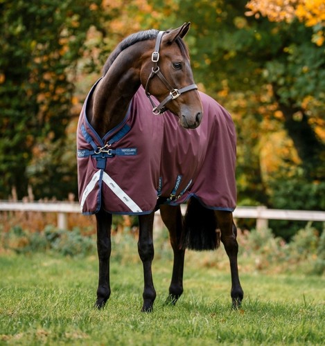Horseware amigo bravo - ®,