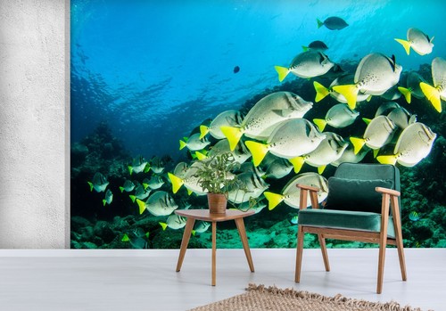 Ozean gelb fisch q3784 - fisch,