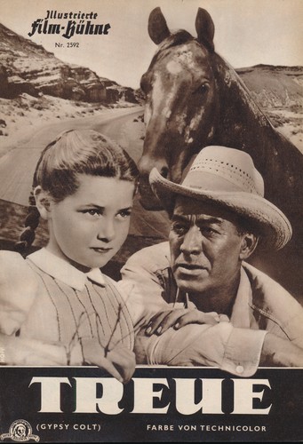 Treue donna corcoran - donna,