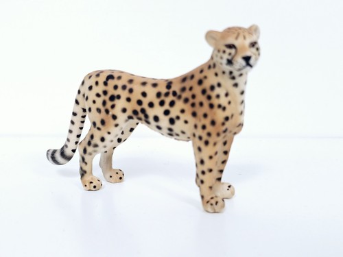 Schleichgepard wildtiere wild - schleichgepard,
