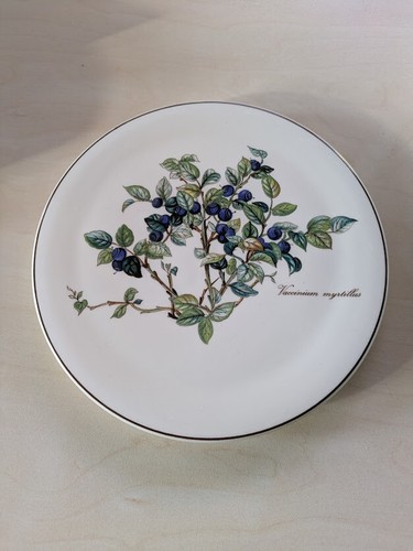 Villeroy boch botanica - villeroy,