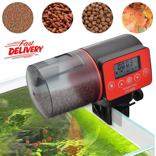 Fisch goldfisch futterautomat - goldfisch,