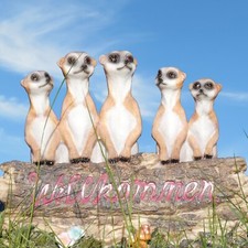 Erdmännchen Türschild