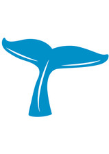 6x car sticker whale sticker