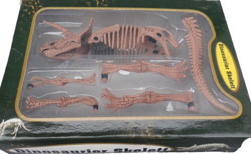Triceratops modell skelett - 3d,