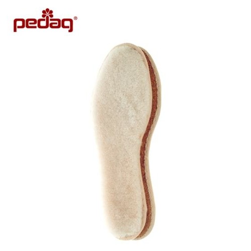 Pedag pascha die - pedag,