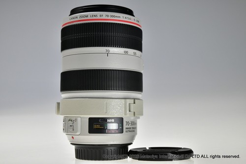Canon 300mm 5 6 - canon, l