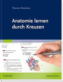 Anatomie lernen durch - , kreuzen