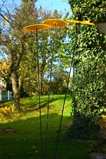 Orginal Cazador del Sol -