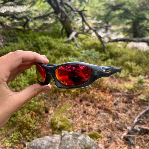 Oakley monster dog vintage - dog,