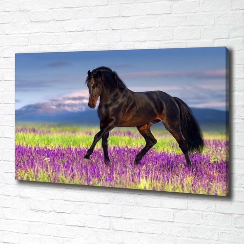 Leinwandbild kunst druck - leinwandbild, kunst-druck