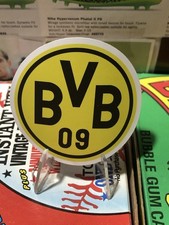 Borussia Dortmund Soccer Team