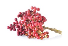 SAMEN exotische Rarität