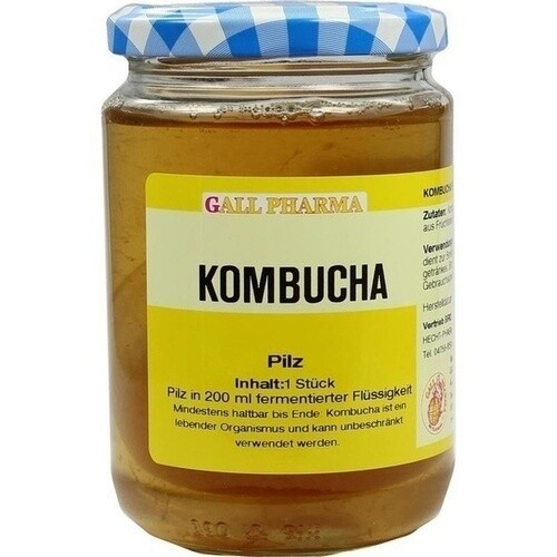 Kombucha teepilz st - kombucha,