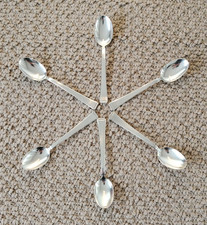 6 wunderschöne versilberte