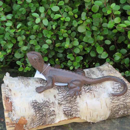 Echse reptil - echse,