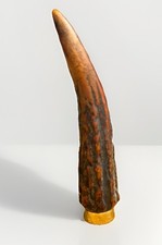 Pfeifen Stopfer, Tamper, Ein echtes Horn Handarbeit Eine alte Sache