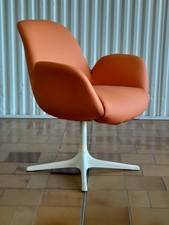 Tulip Chair Stuhl Sessel