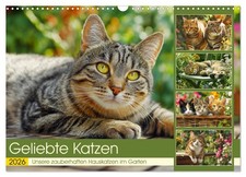 Geliebte Katzen. Unsere