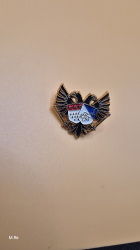 Karneval pin anstecknadel - karneval,