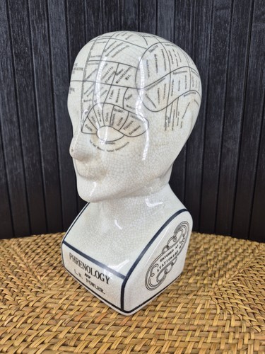Vintage phrenologie kopf - vintage,