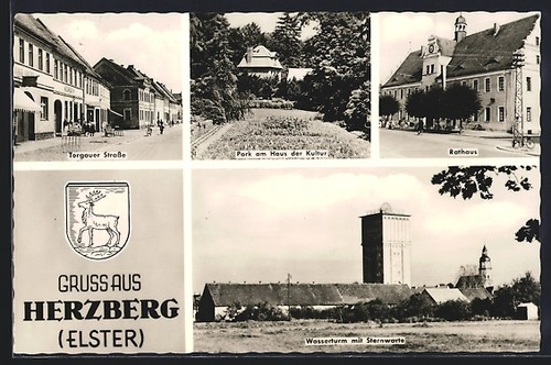 Herzberg elster - /,