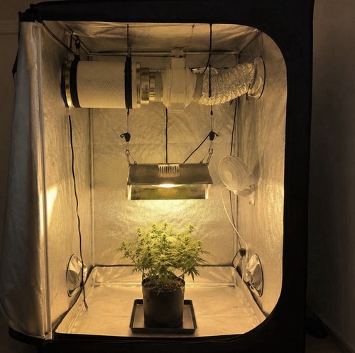 Growpro growzelt komplettset - growzelt,