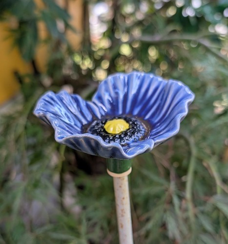 Mohn blüte blau keramik - mohn,