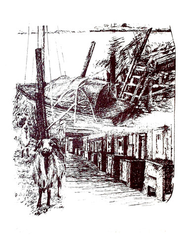 Arche noah lithographie - noah,
