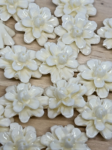 Beige weiße blume blumen - 5,