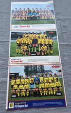 Fc Bayern Hof Manschafts