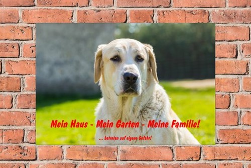 Schild hund labrador mein haus - schild,