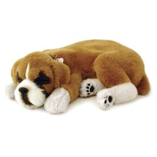 Perfect Petzzz 96187 Boxer