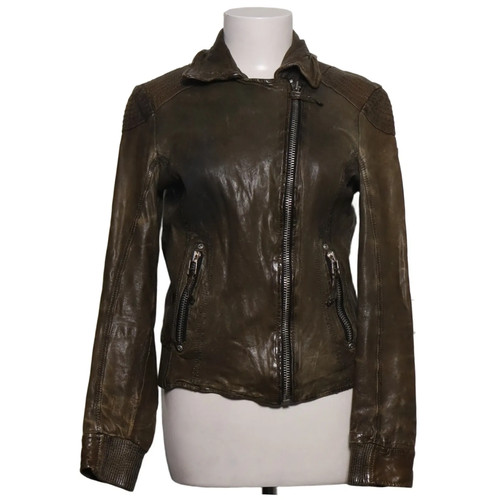Gipsy bikerjacke damen - bikerjacke,,