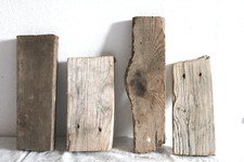 Schwemmholz Treibholz  4