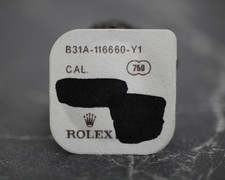 NEW Rolex 31A-116660 Luminous