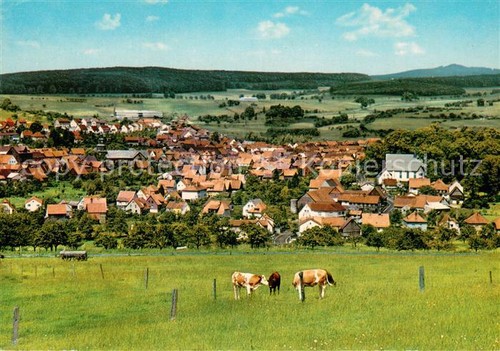 Gedern panorama luftkurort - gedern,