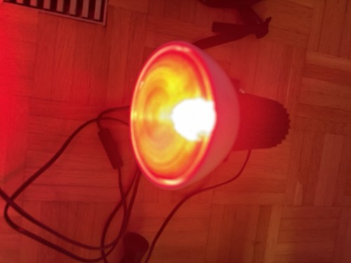 Infrarotlampe rotlichtlampe - infrarotlampe,